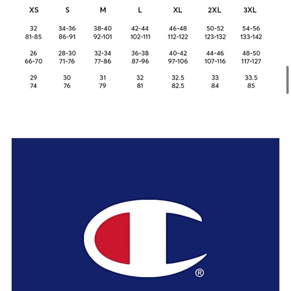 🖤Men’s S Champion Duo Dry Gray Striped Polo - Picture 7 of 7